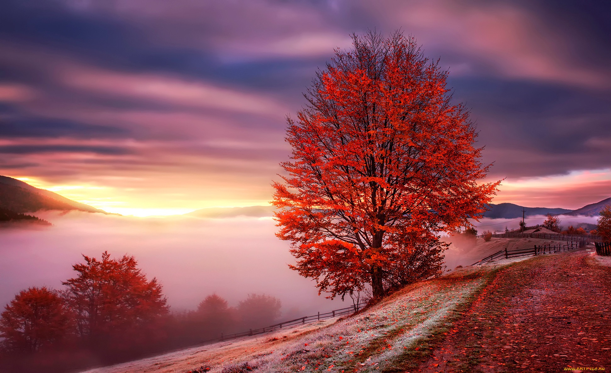 Autumn is beautiful. Природа. Осенний закат. Красивый пейзаж. Природа осень.